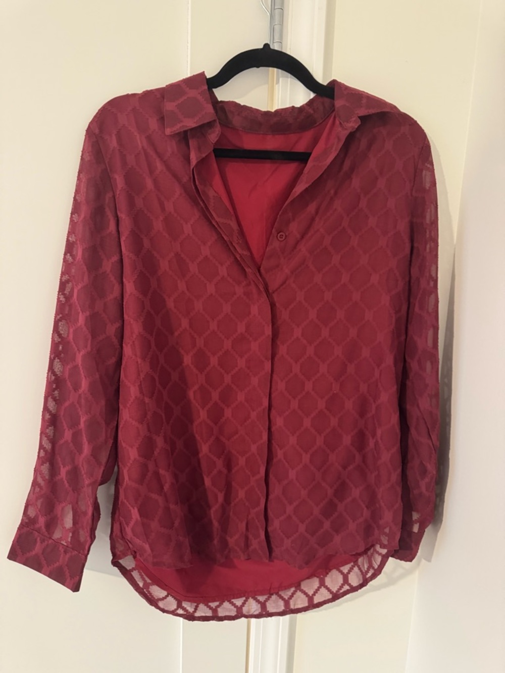 Red Sheer Geometric Button-Up Blouse - Women